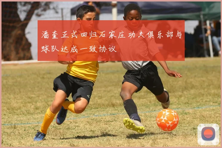 潘奎正式回归石家庄功夫俱乐部与球队达成一致协议
