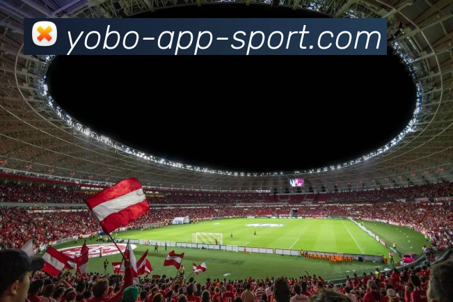 yobo体育发展历程